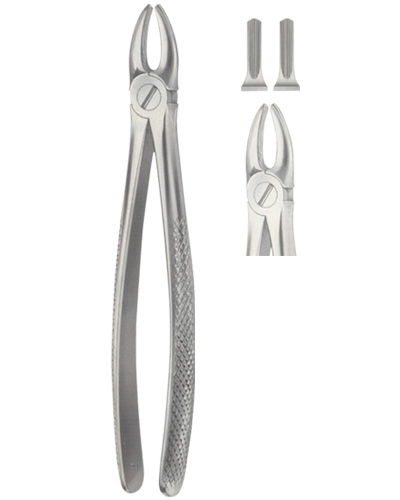 Tooth Forceps for upper incisor and Canines